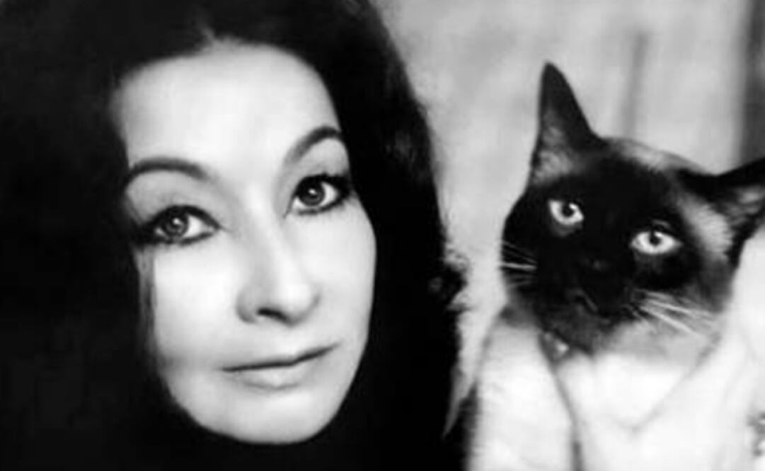 Mexican author Amparo Dávila passes away