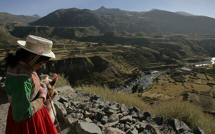 Hallan restos del milenario Camino Inca