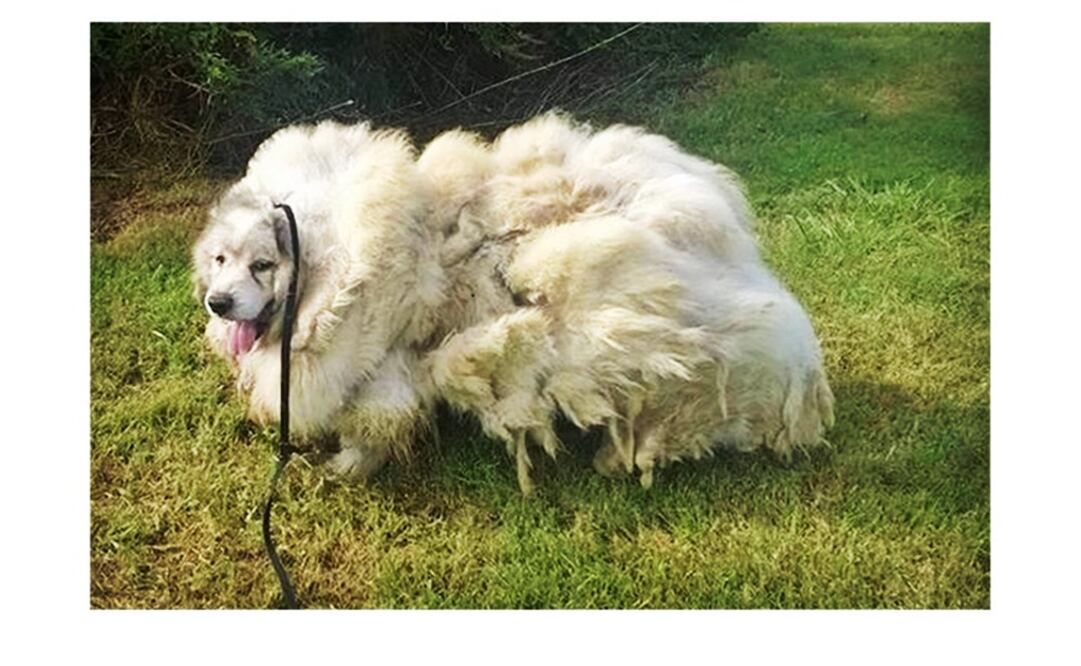 Foto: Facebook Amanda Brooke Charsha-Lindsey