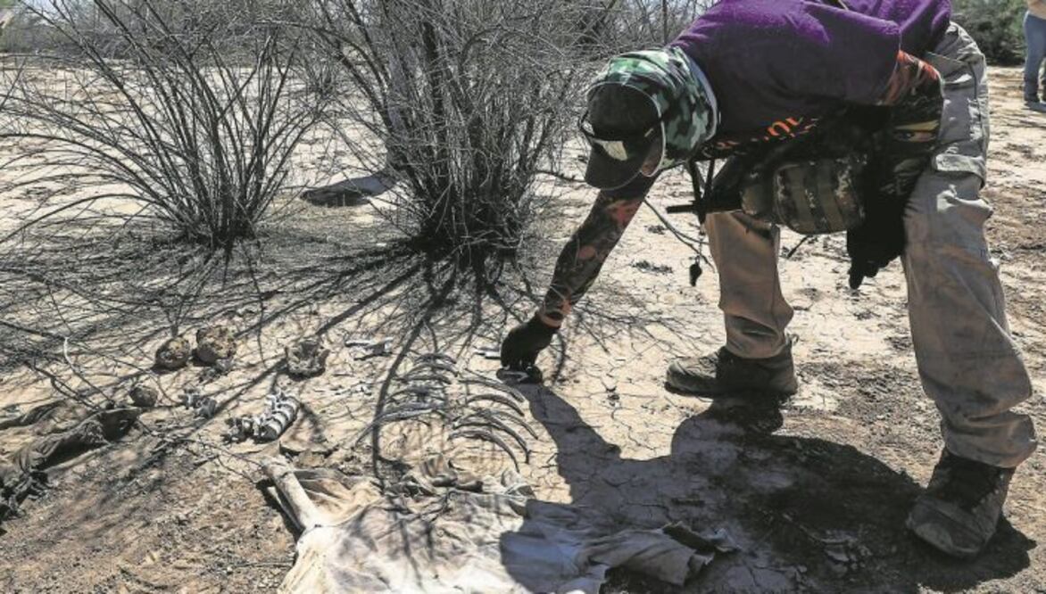 Activistas y buscadores, en un paraje de Baja California en abril de 2021. En la zona encontraron restos humanos. Diego Simón /EL UNIVERSAL