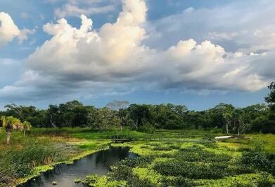 El mundo en acción para conservar la biodiversidad