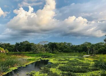 El mundo en acción para conservar la biodiversidad