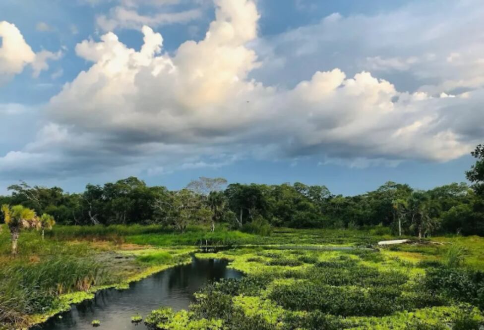 Este lugar es considerado como reserva de la biosfera y es uno de los humedales más importantes del mundo.