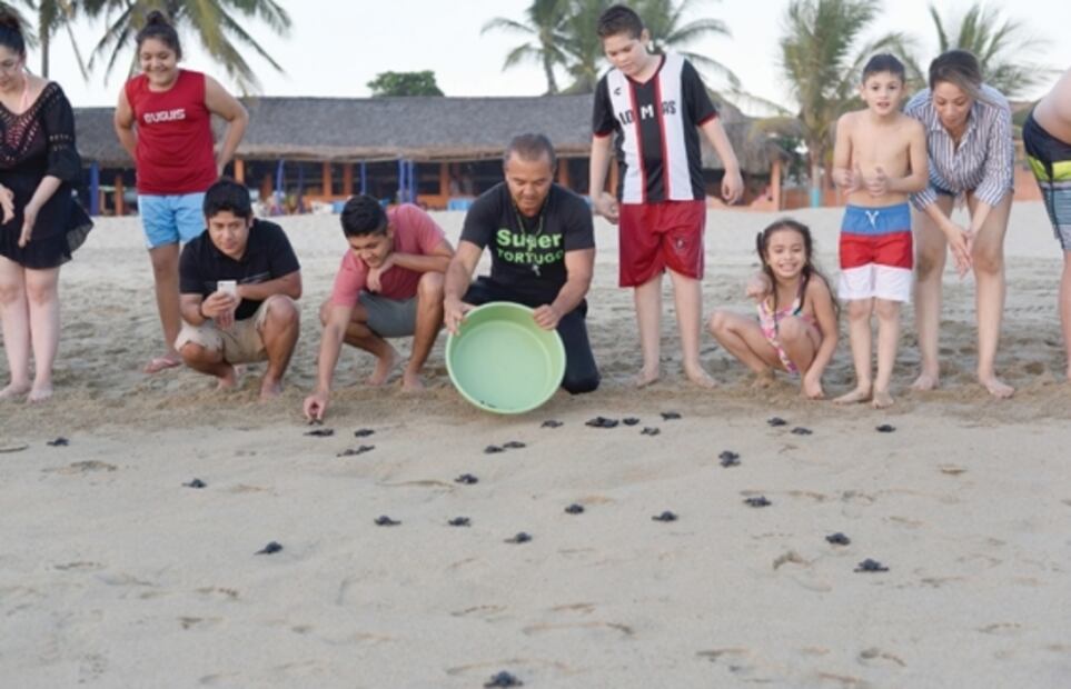 ‘Turtle-Man’ protects sea turtles from poachers in Mexico