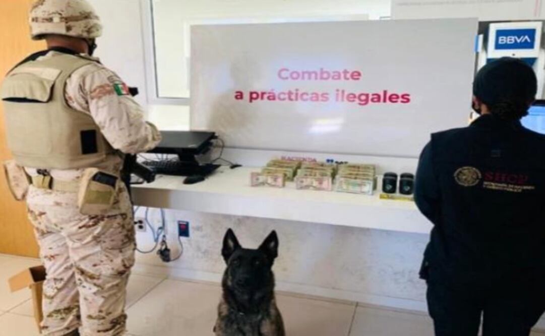 The SAT is working along with the Mexican Navy and the National Guard to look after Mexico's customs operations - Photo: Taken from the SAT's Facebook account