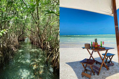 Playa, ojo de agua y manglar: qué hacer en Sisal en Semana Santa