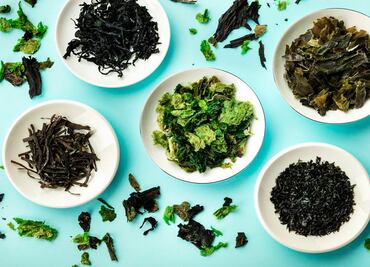 Conoce cuál es la dosis perfecta de calcio según tu edad y en qué alimentos está presente