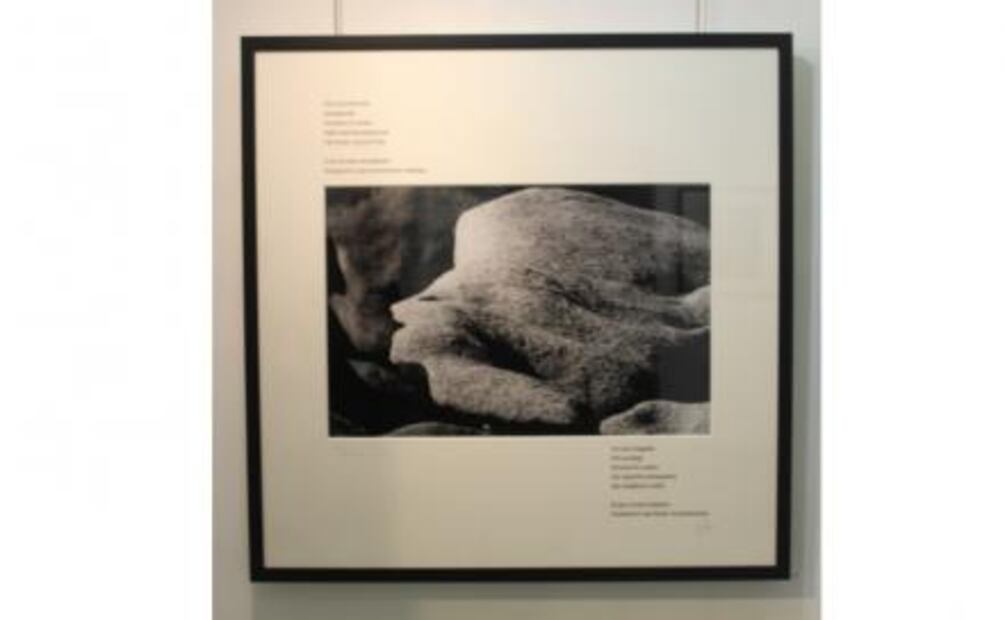 Kozo Yano retrata la poesía de la naturaleza