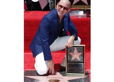 Pitbull ya tiene su estrella en Hollywood