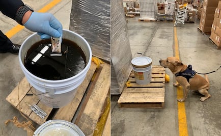 Policía Federal decomisa cubeta de miel con éxtasis en Yucatán