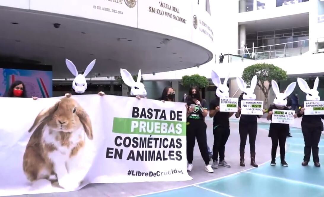 Foto: @RicardoMonrealA