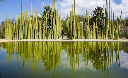 Lugares en Oaxaca para conocer el legado de Francisco Toledo
