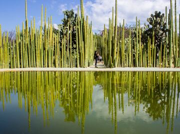 Lugares en Oaxaca para conocer el legado de Francisco Toledo