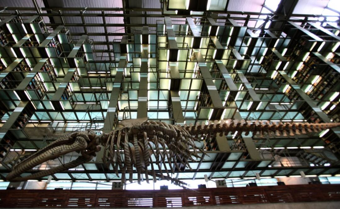 La Biblioteca Vasconcelos, que fue concebida como “Catedral de la Lectura”, cumple diez años  convertida más en una biblioteca modélica que genera proyectos culturales y lejos del modelo que soñaron.  FOTO: VALENTE ROSAS / EL UNIVERSAL