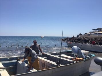 Semar y Profepa atienden naufragio de embarcación estadounidense