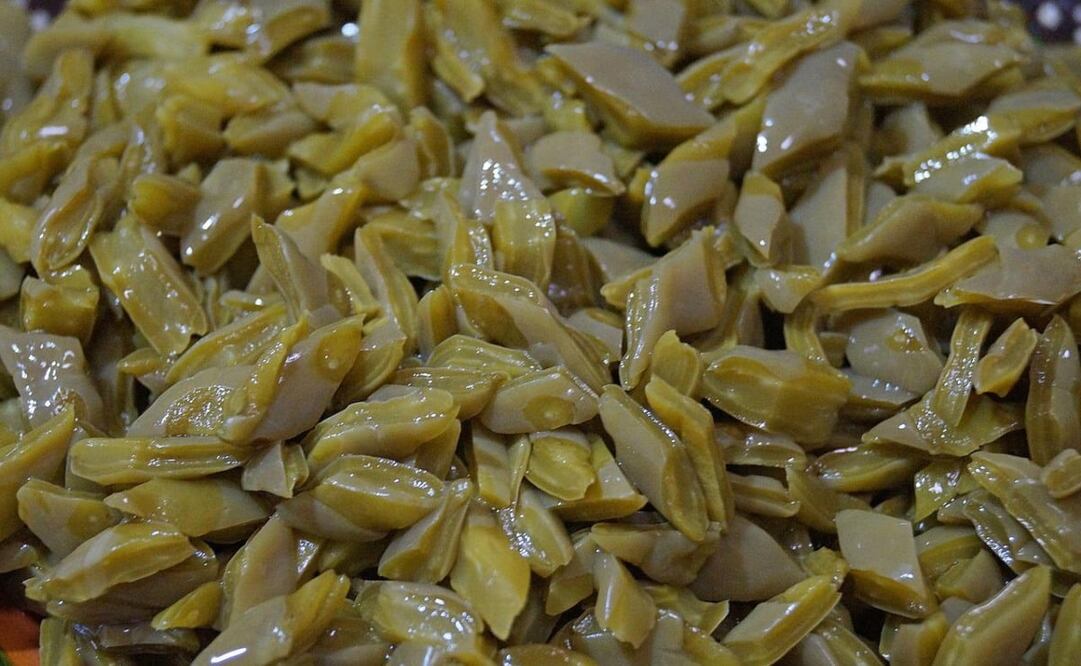 Los nopales son altamente nutritivos. Imagen: Pixabay 