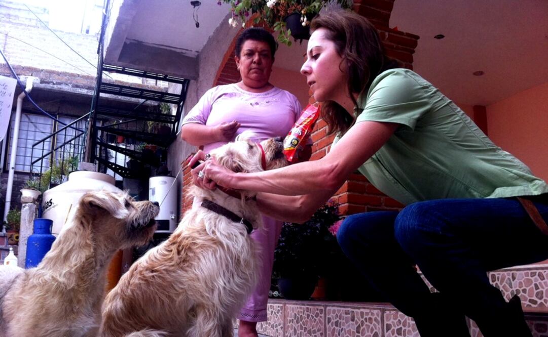 (FOTO: Archivo/EL UNIVERSAL)