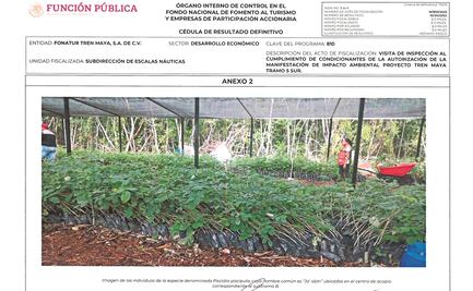 Tren Maya, con fallas en manejo ecológico