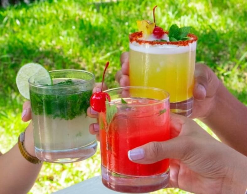 Jardines de México abre por tiempo limitado: 10 cosas qué hacer en tu visita