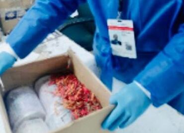 Cocaína, marihuana y cigarrillos electrónicos fueron decomisados en diferentes aduanas del país