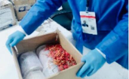 Cocaína, marihuana y cigarrillos electrónicos fueron decomisados en diferentes aduanas del país