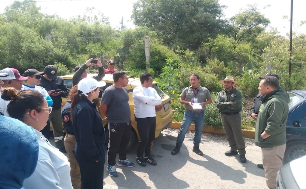 Buscan a tigre que escapó en Edomex. Foto: Especial