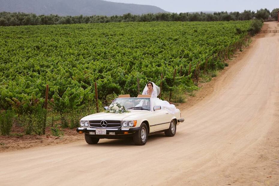 Foto: Bodegas de Santo Tomás