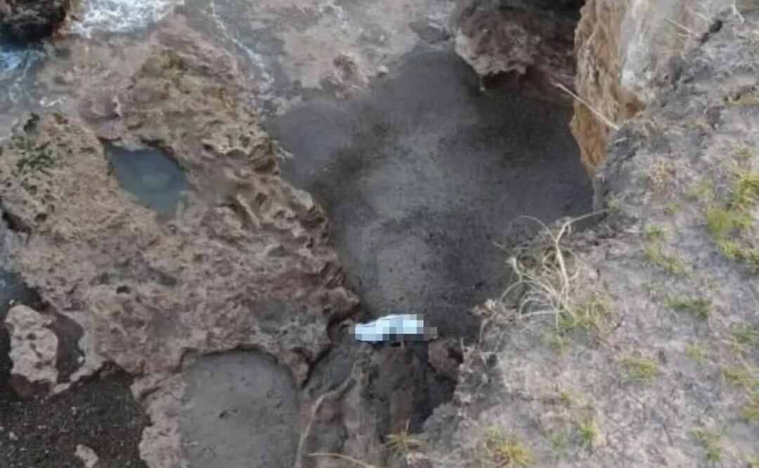 Tragedia en Mar del Plata: se estaba tomando una foto al borde de un acantilado, cayó desde 10 metros de altura y murió. Foto: La Nación/GDA