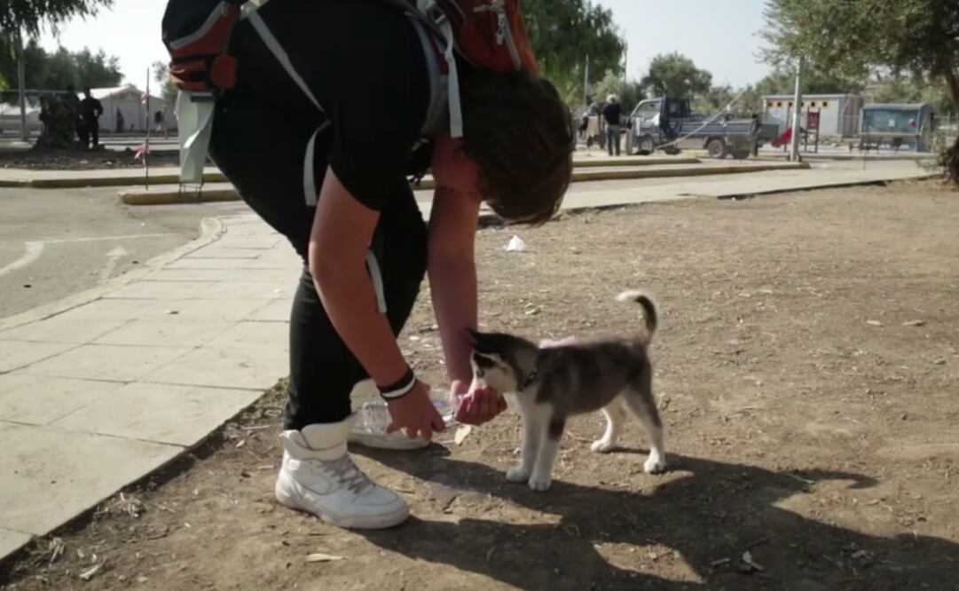 Foto: Facebook UNHCR