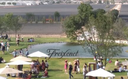 Freixenet México celebró el Bubble Fest 2023