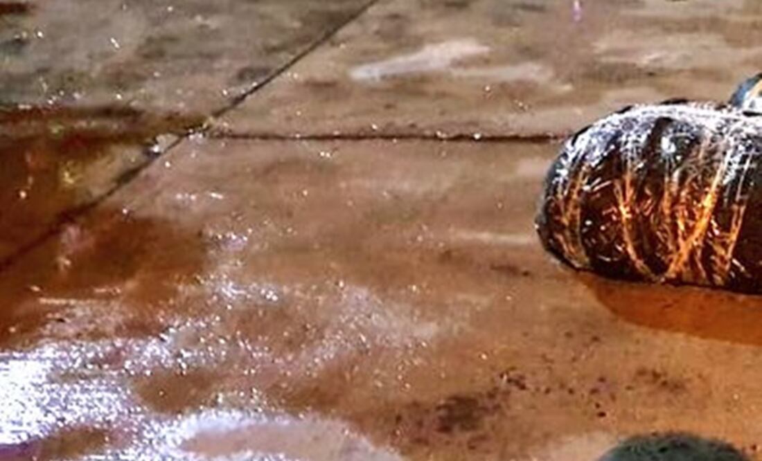 Fotografía: Especial