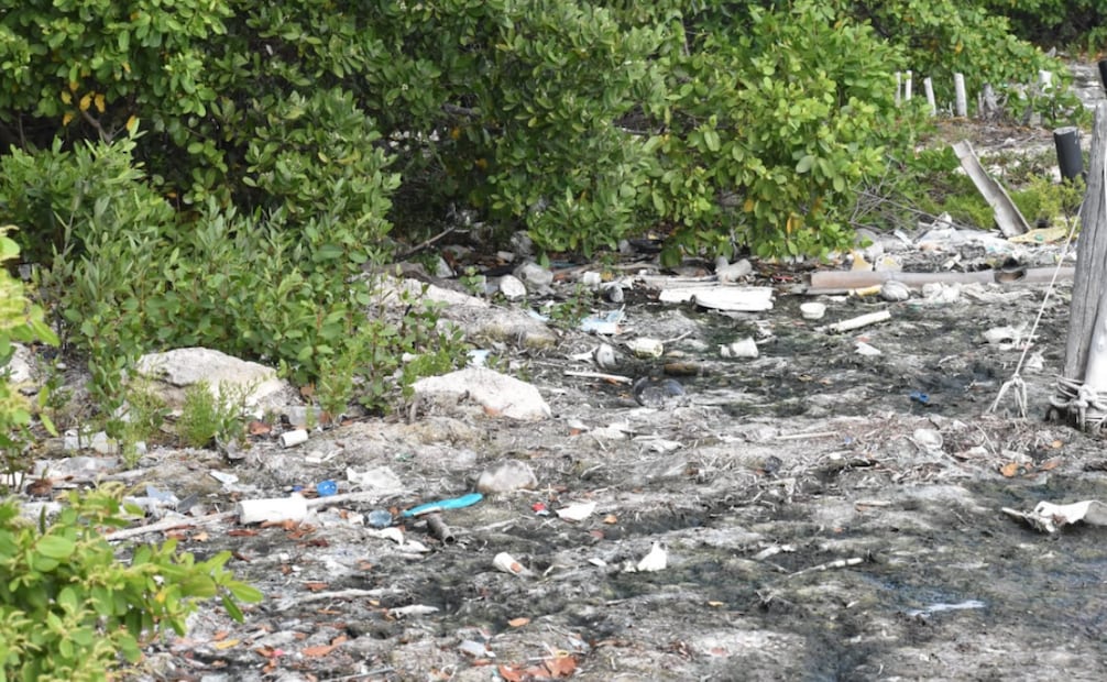 Organizaciones denuncian construcción ilegal de carretera sobre acuífero maya en Tulum (23/06/2026). Foto: Especial