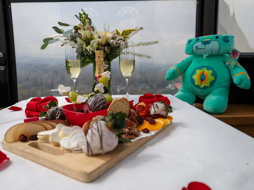 Foto: Aztlán Feria de Chapultepec