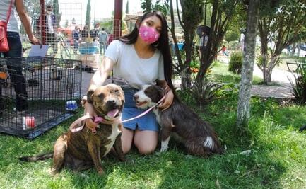 Valle de Chalco inicia campaña para adoptar mascotas tras crisis por Covid
