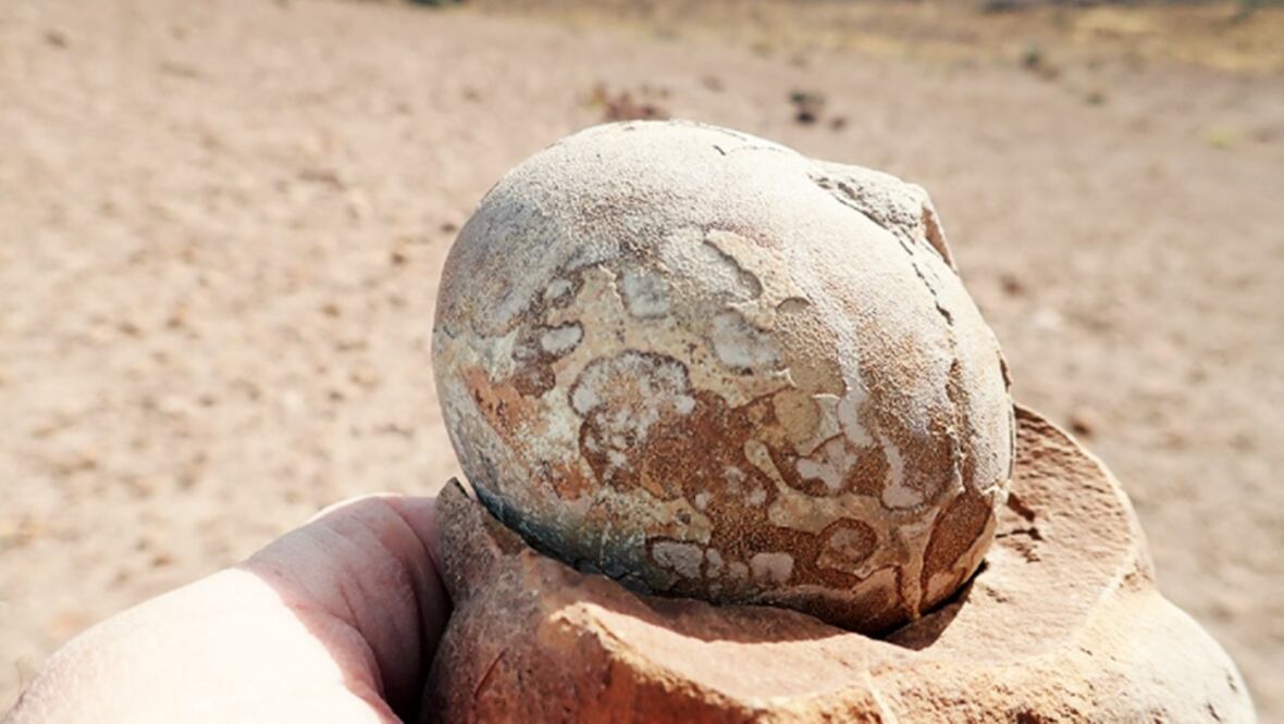 Foto: Consejo Nacional de Investigaciones Científicas y Técnicas