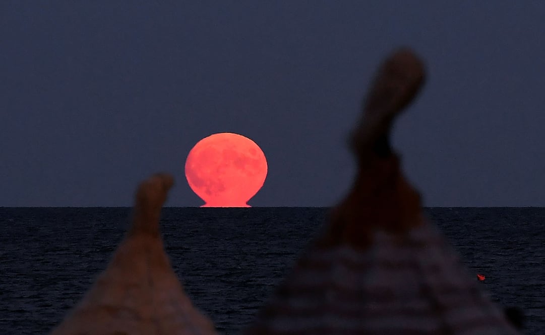 La Luna llena nos cautivó en agosto, ¿qué sorpresas podemos esperar en septiembre? Foto: Tiziana FABI / AFP