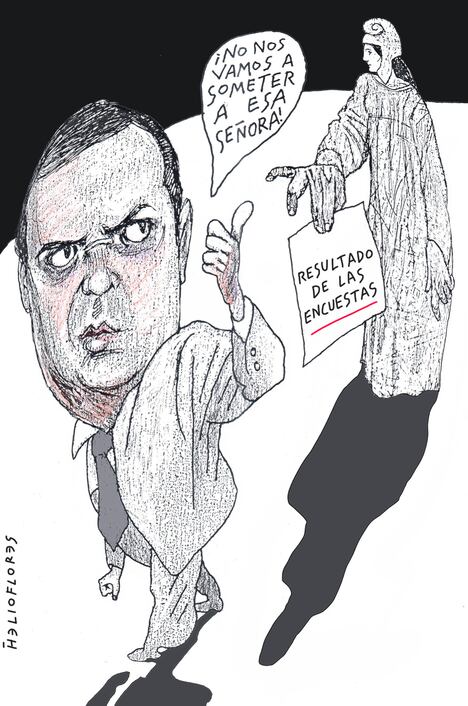 Cartón de HELIOFLORES
