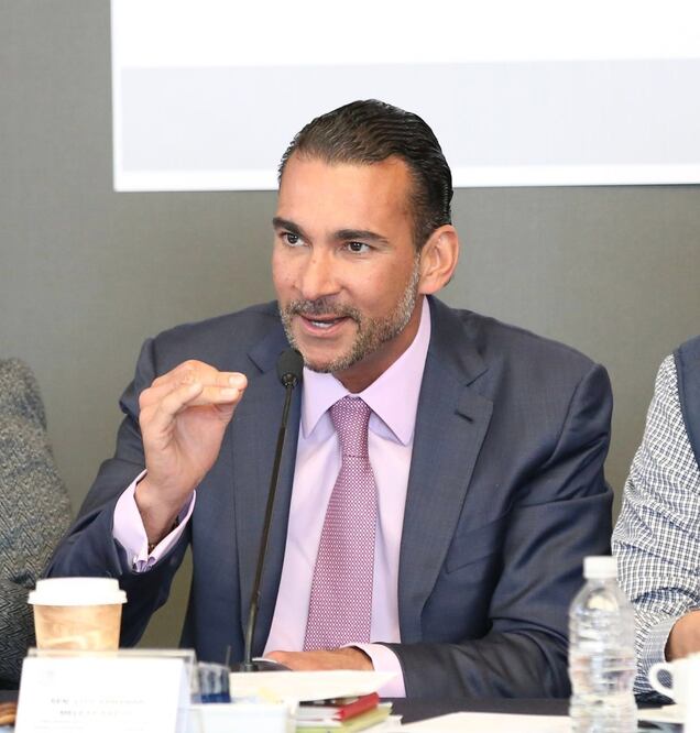 El senador Luis Armando Melgar, del PVEM, en la aprobación de la Ley Federal de Zonas Económicas Especiales. Foto cortesía PVEM