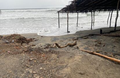 Huracán Rick se degrada a categoría 1 en Michoacán