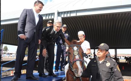 SSPDF presenta nuevo programa de equinoterapia