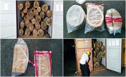 Aseguran más de 65 toneladas de madera en Yucatán