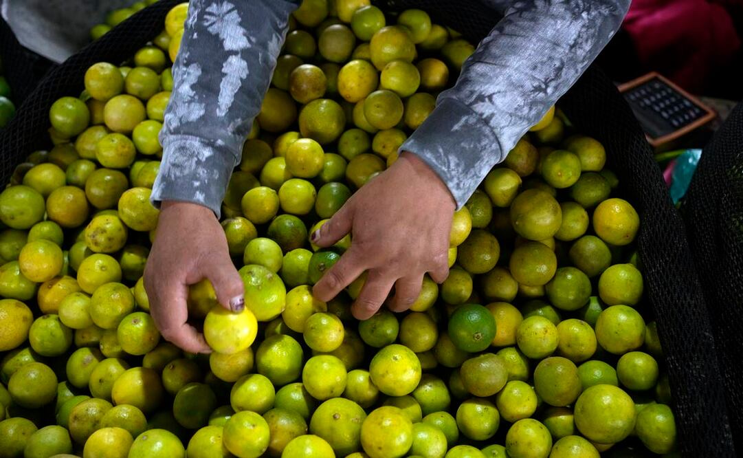 Clasificación de limones en Lima. Los precios han aumentado un 70% en los últimos tres meses, según el Instituto Nacional de Estadísticas de Perú. Foto: AP