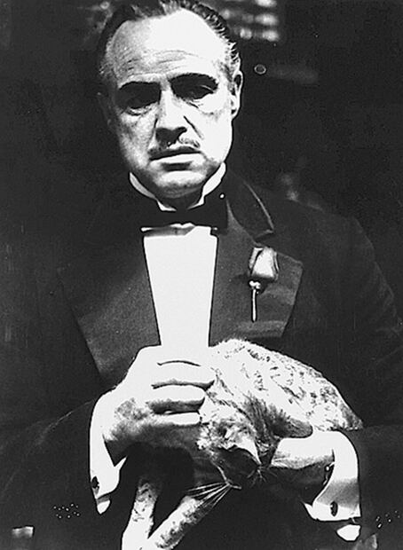 Ellos ¡rechazaron al Oscar!