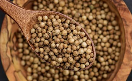 Beneficios de incluir semillas de cilantro a tu alimentación