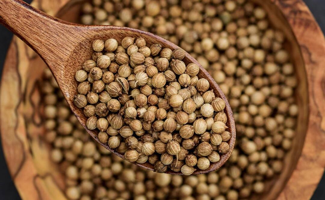 Propiedades de la semilla de cilantro. Foto: Pexels