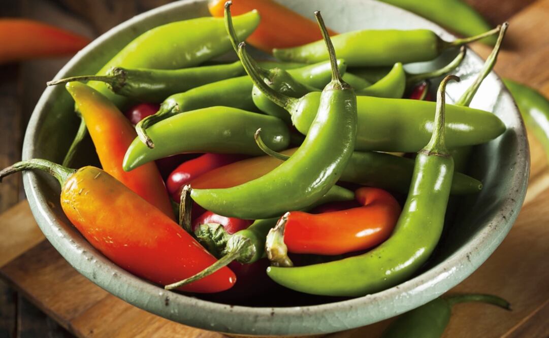 The CHISER-522 pepper is an open-pollinated strain and a vigorous plant of 90 to 130 centimeters high and an intermediate cycle of 80 days to flowering - Photo: File photo/EL UNIVERSAL