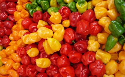 Relacionan consumo de comida picante con longevidad