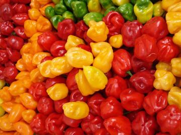 Relacionan consumo de comida picante con longevidad