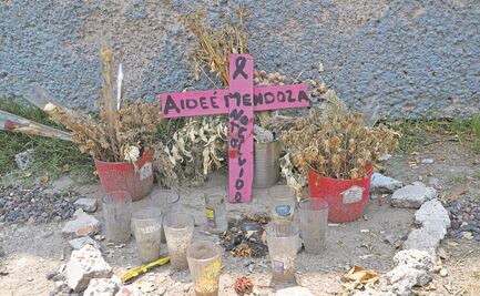 Hay un detenido por la muerte de Aideé, alumna del CCH Oriente: PGJ