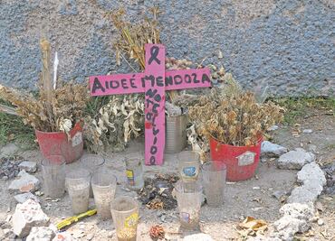 Hay un detenido por la muerte de Aideé, alumna del CCH Oriente: PGJ